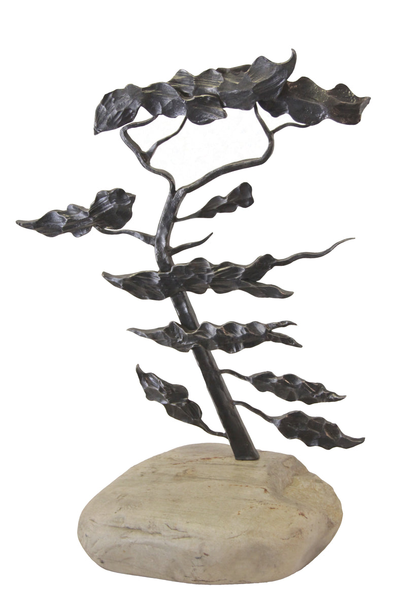 Lake Superior Tree