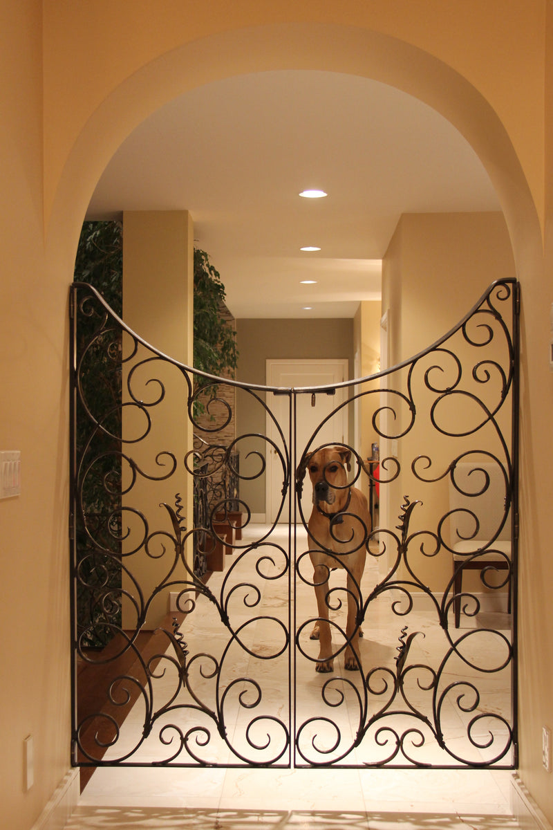 Interior Railing and Gate 2016