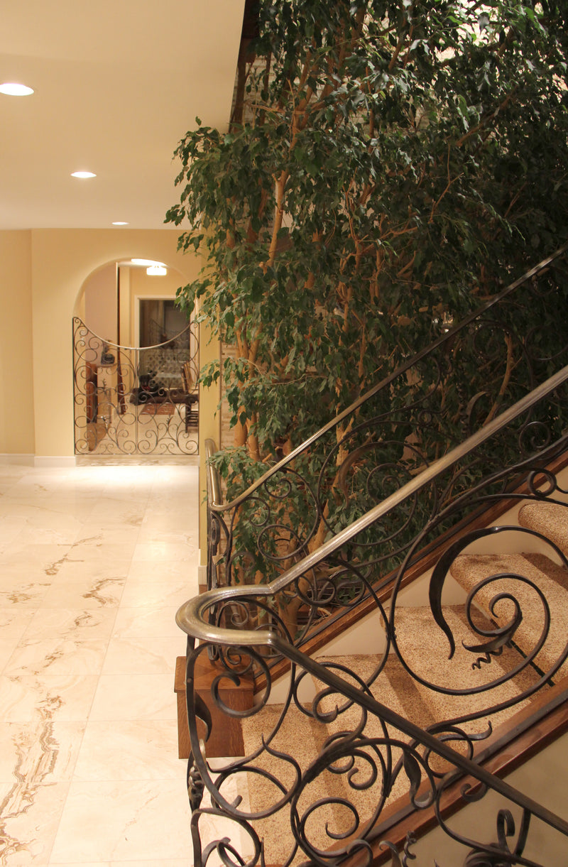 Interior Railing and Gate 2016